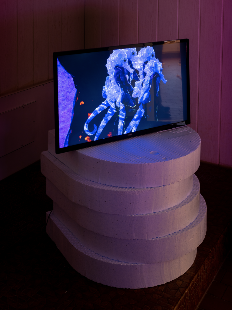 left : Johanna Bruckner, Crushpad Climax, Right: Donia Jornod, Simulacra. Photos: Pierre Marmy